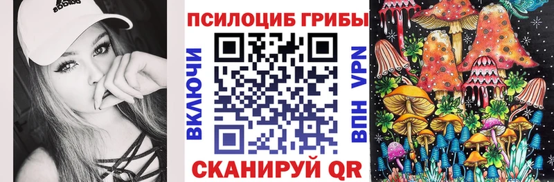 Псилоцибиновые грибы Cubensis  Фрязино 